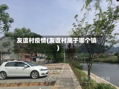 友谊村疫情(友谊村属于哪个镇)