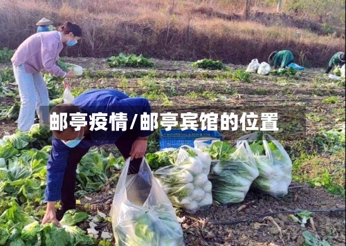 邮亭疫情/邮亭宾馆的位置