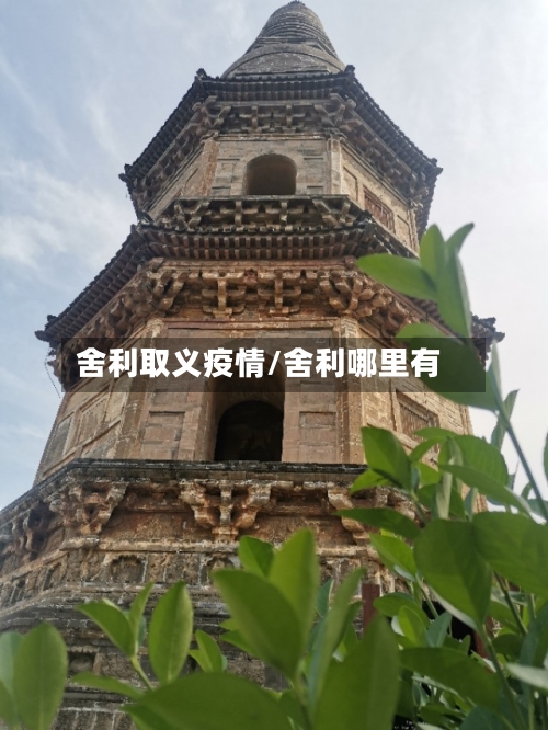 舍利取义疫情/舍利哪里有