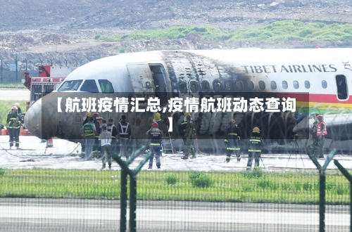 【航班疫情汇总,疫情航班动态查询】