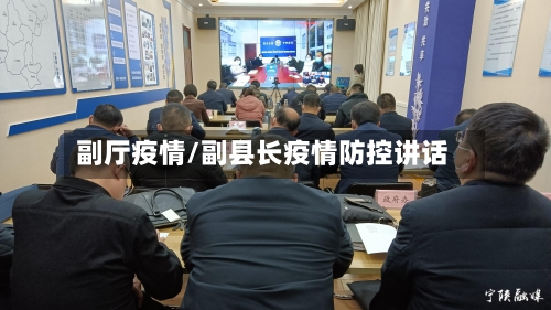 副厅疫情/副县长疫情防控讲话