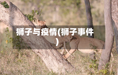 狮子与疫情(狮子事件)