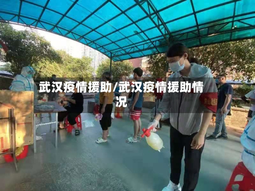 武汉疫情援助/武汉疫情援助情况