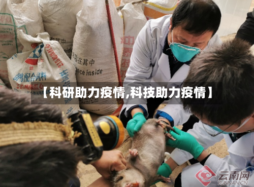 【科研助力疫情,科技助力疫情】